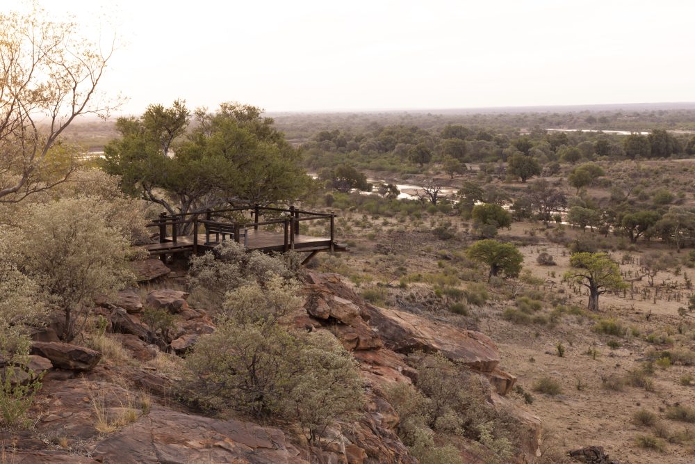 Sanparks Mapungubwe 22.10.2025-193
