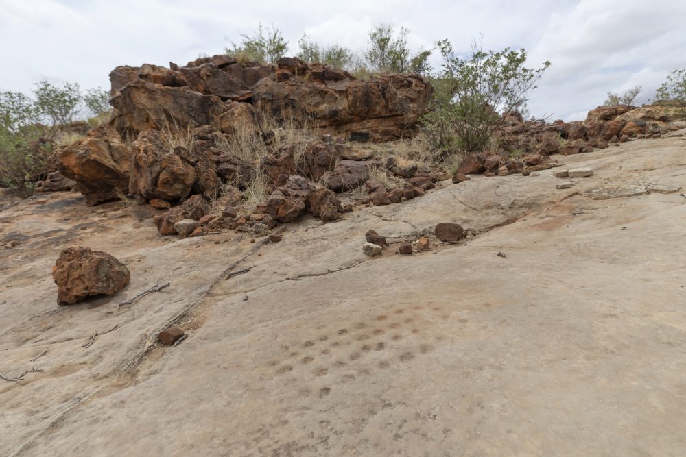 Sanparks Mapungubwe 22.10.2025-43