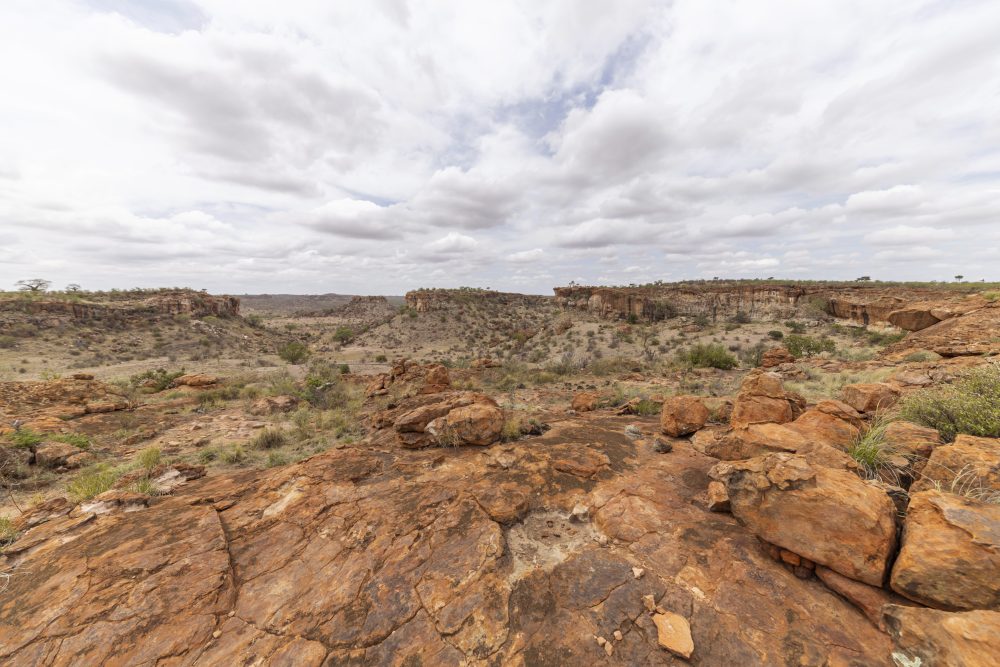 Sanparks Mapungubwe 22.10.2025-45