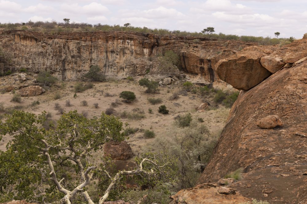 Sanparks Mapungubwe 22.10.2025-66