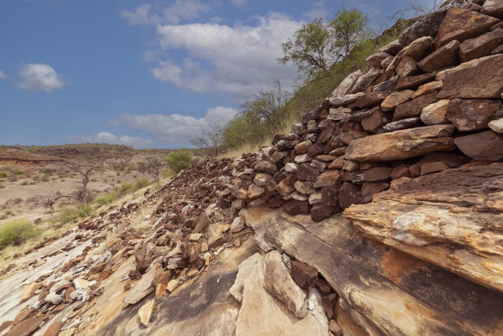 Sanparks Mapungubwe 22.10.2025-73