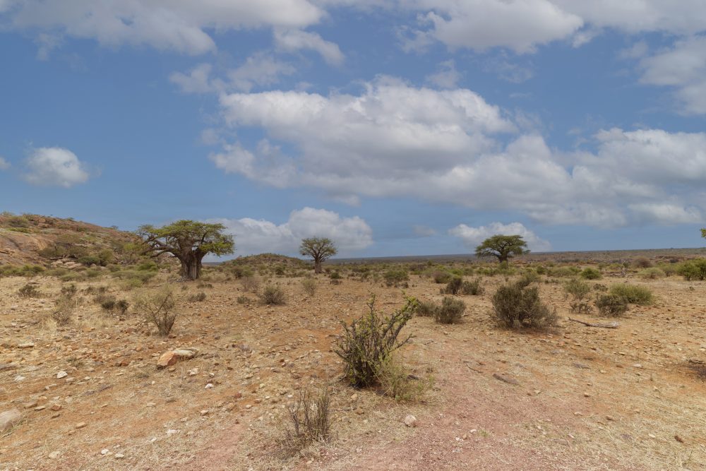 Sanparks Mapungubwe 22.10.2025-92