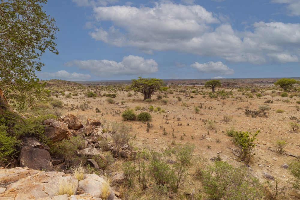 Sanparks Mapungubwe 22.10.2025-95