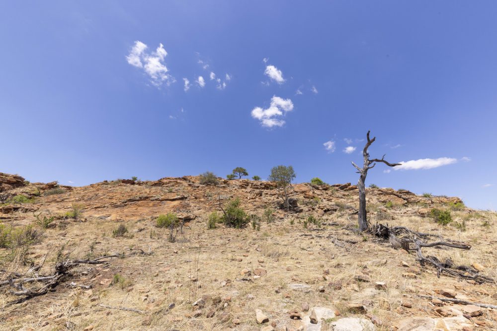 Sanparks Mapungubwe 23.10.2025-10