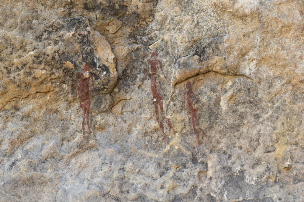 Sanparks Mapungubwe 23.10.2025-109