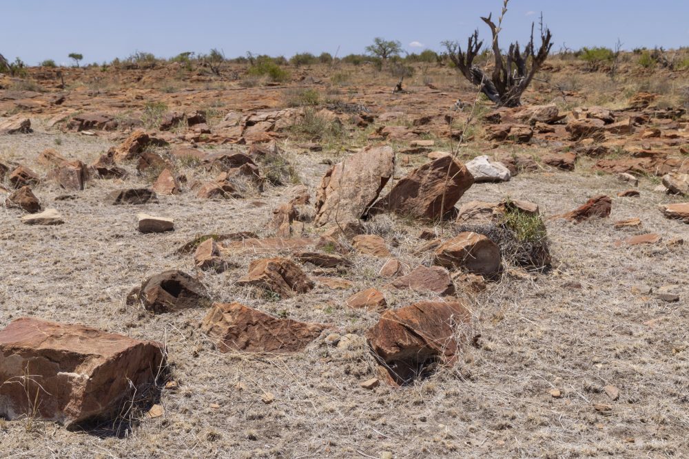 Sanparks Mapungubwe 23.10.2025-11