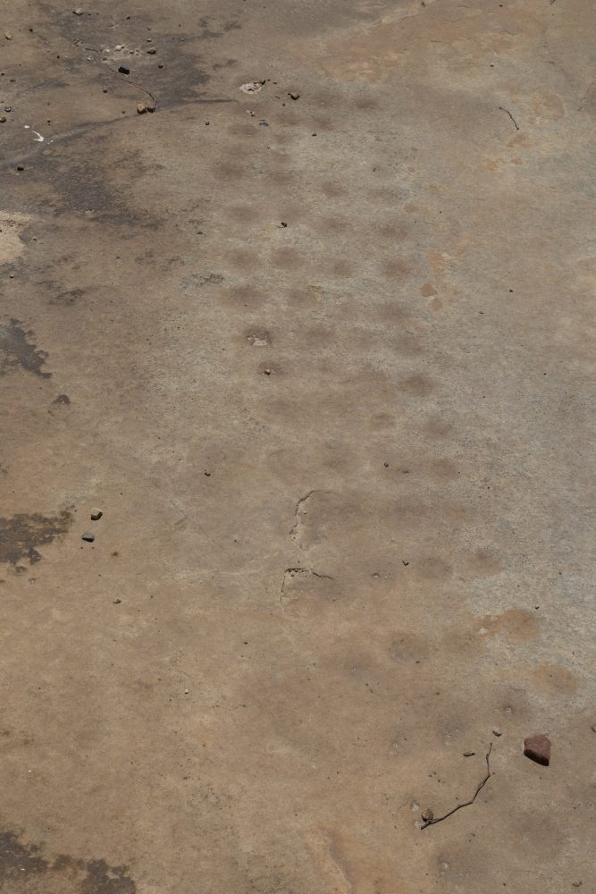 Sanparks Mapungubwe 23.10.2025-119