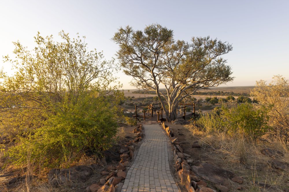 Sanparks Mapungubwe 23.10.2025-198