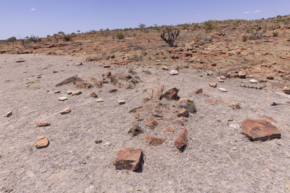 Sanparks Mapungubwe 23.10.2025-27