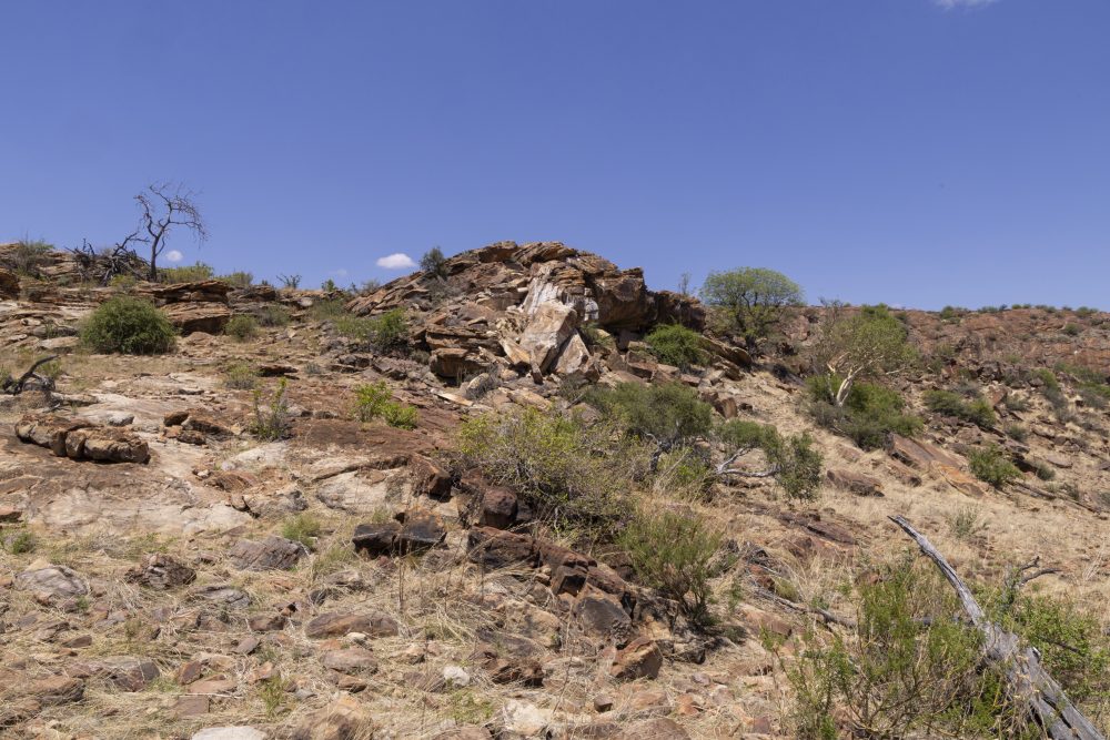 Sanparks Mapungubwe 23.10.2025-32