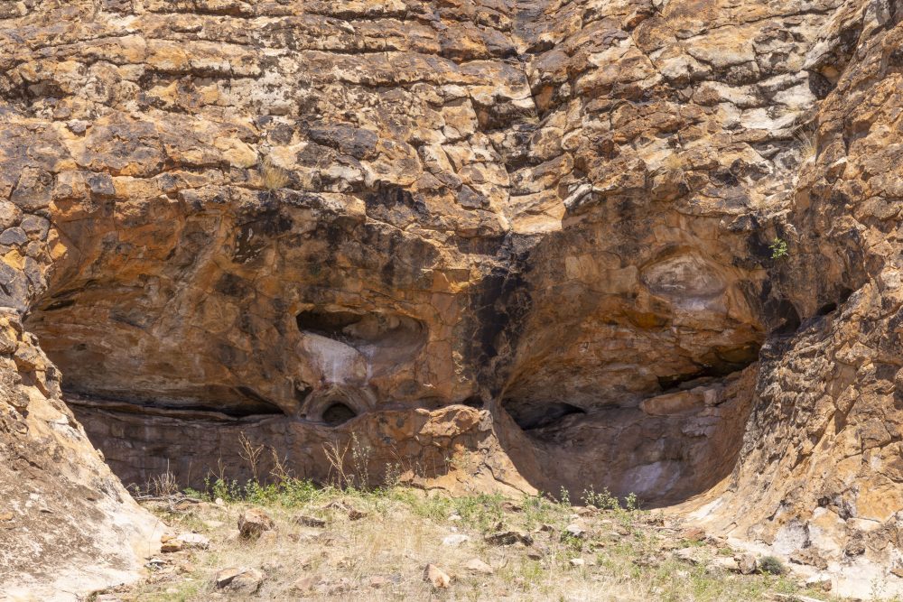 Sanparks Mapungubwe 23.10.2025-45