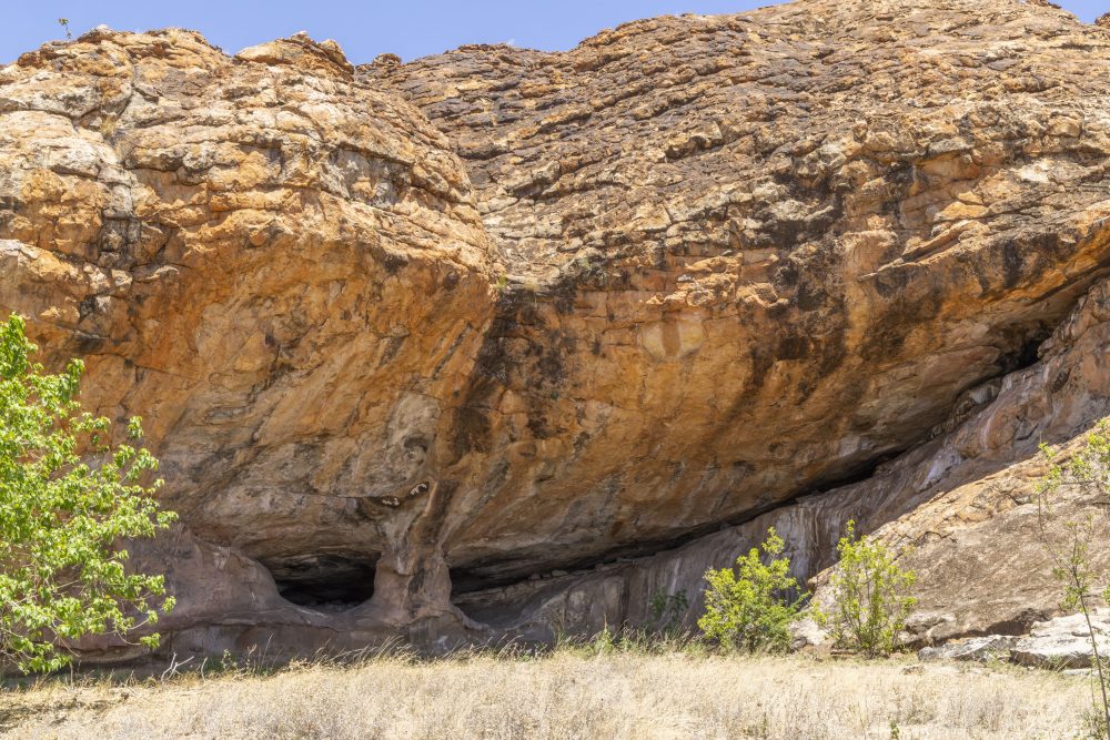 Sanparks Mapungubwe 23.10.2025-49