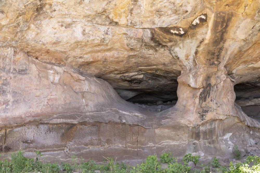 Sanparks Mapungubwe 23.10.2025-56
