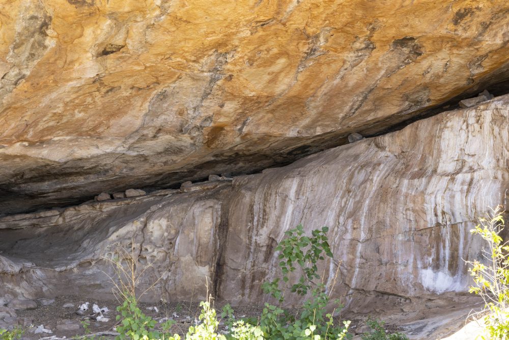 Sanparks Mapungubwe 23.10.2025-59