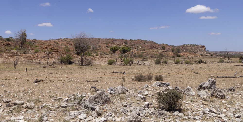 Sanparks Mapungubwe 23.10.2025-6