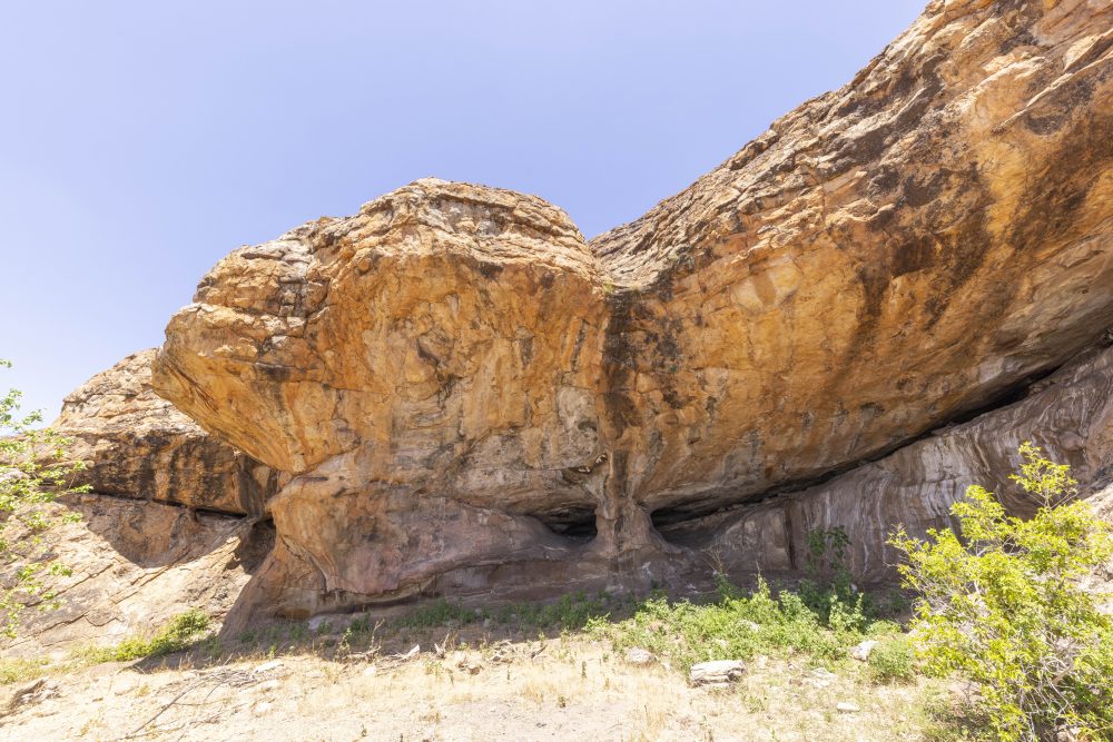 Sanparks Mapungubwe 23.10.2025-63