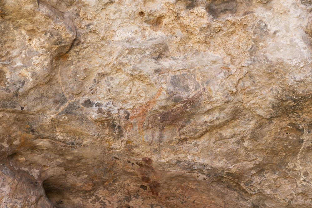 Sanparks Mapungubwe 23.10.2025-64