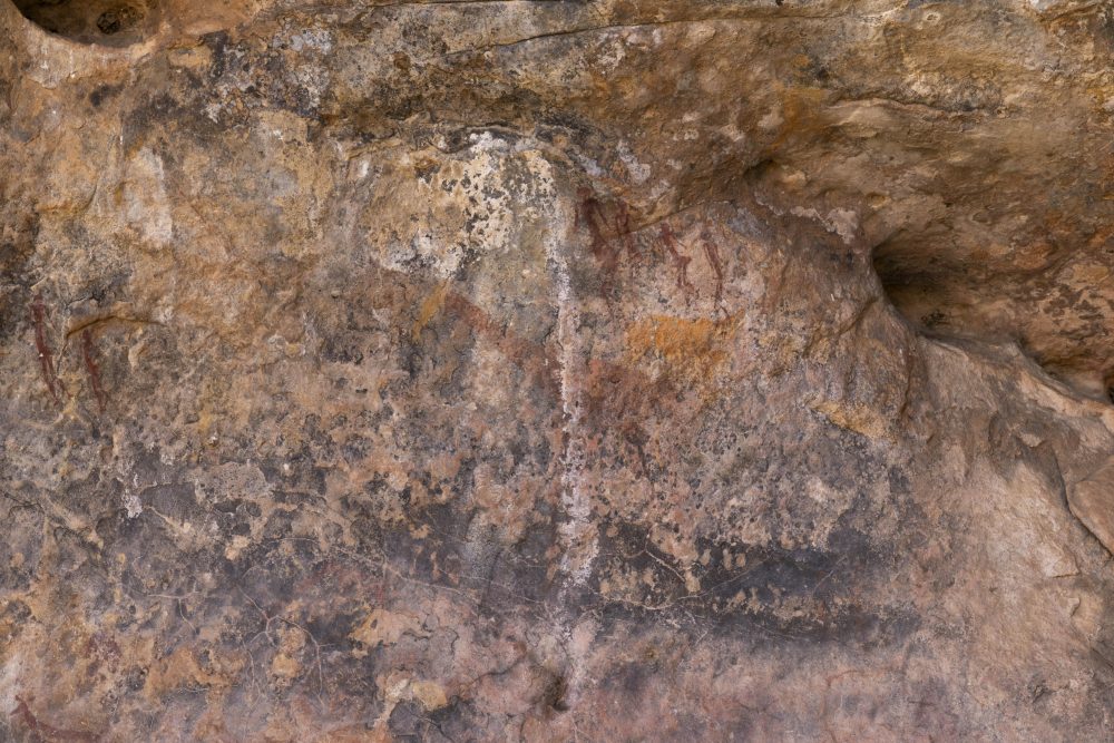 Sanparks Mapungubwe 23.10.2025-67