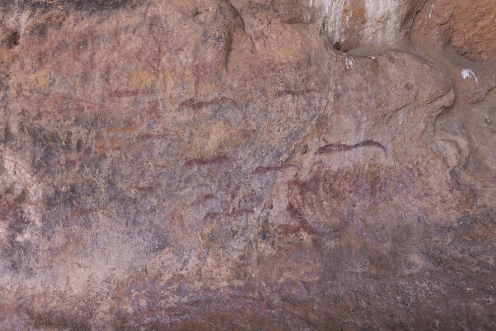 Sanparks Mapungubwe 23.10.2025-79