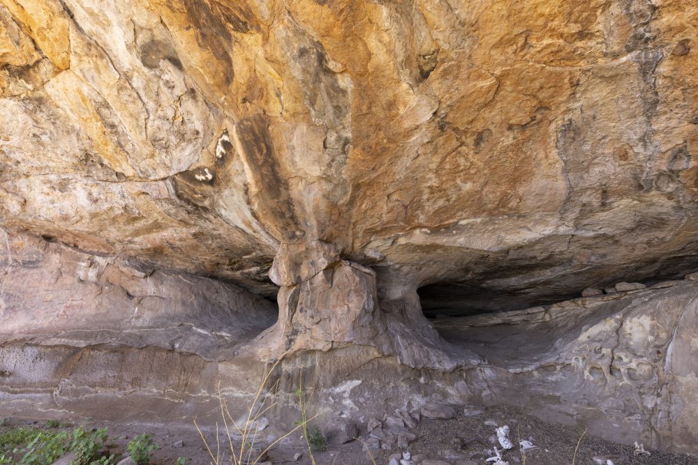 Sanparks Mapungubwe 23.10.2025-91