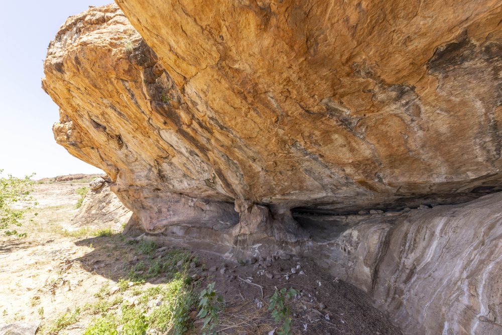 Sanparks Mapungubwe 23.10.2025-94