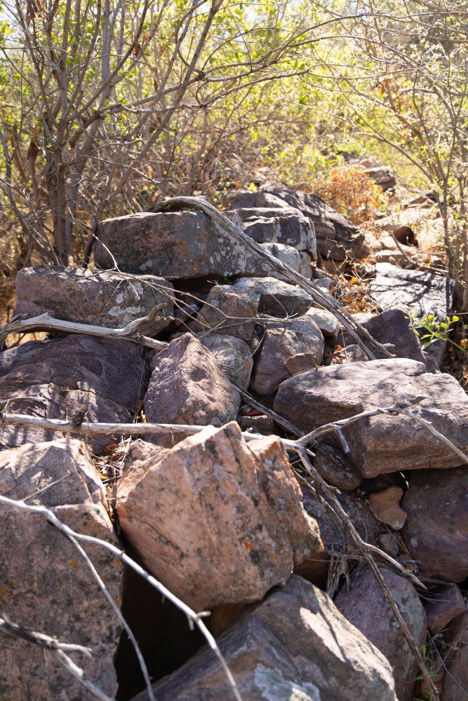 Sanparks Marakele 25.10.2025-10