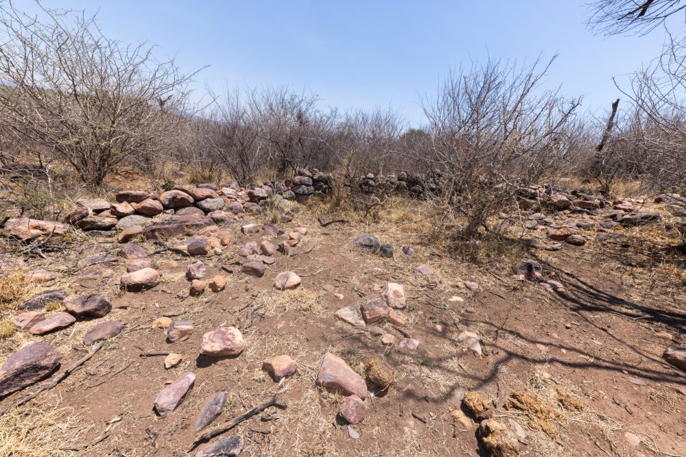 Sanparks Marakele 25.10.2025-101