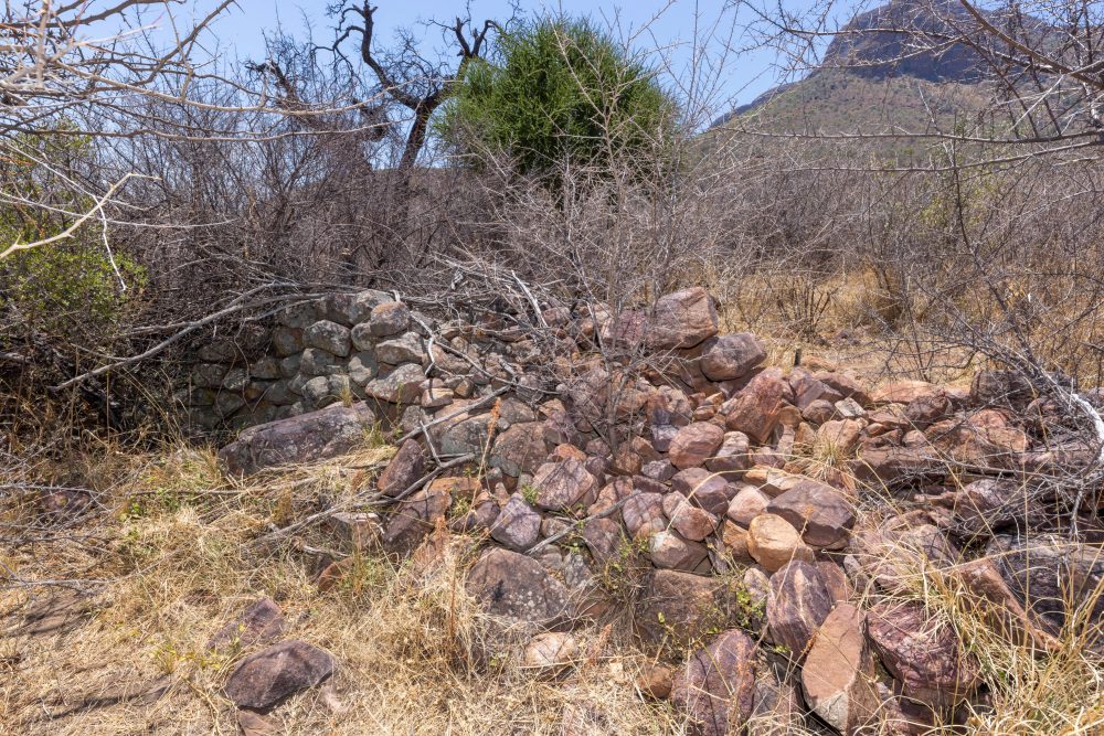 Sanparks Marakele 25.10.2025-104