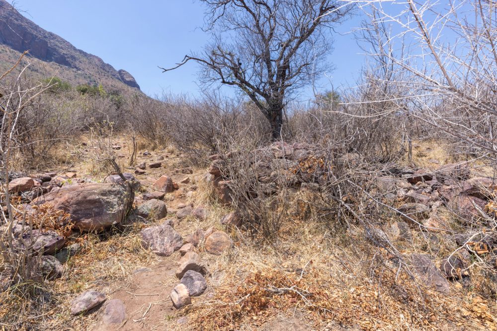 Sanparks Marakele 25.10.2025-106