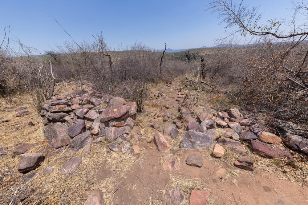 Sanparks Marakele 25.10.2025-108
