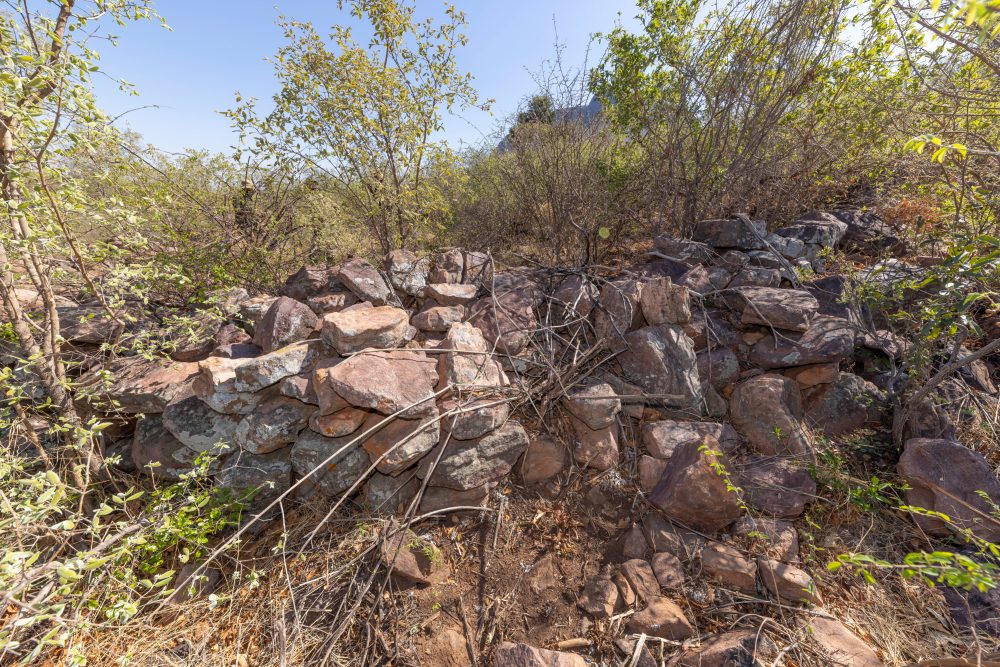 Sanparks Marakele 25.10.2025-12