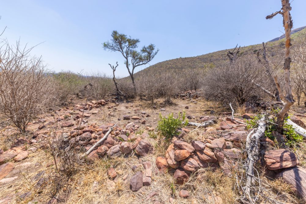 Sanparks Marakele 25.10.2025-125