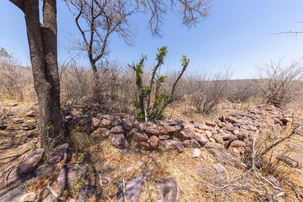 Sanparks Marakele 25.10.2025-137