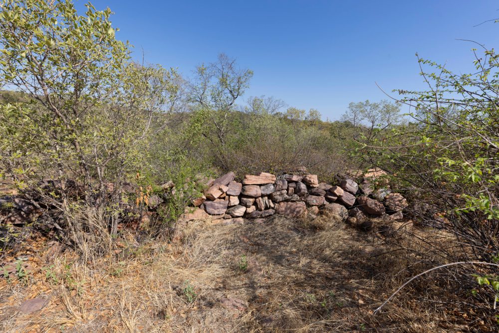 Sanparks Marakele 25.10.2025-15