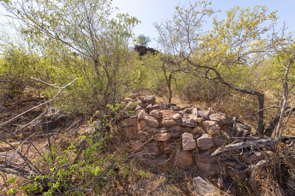 Sanparks Marakele 25.10.2025-38