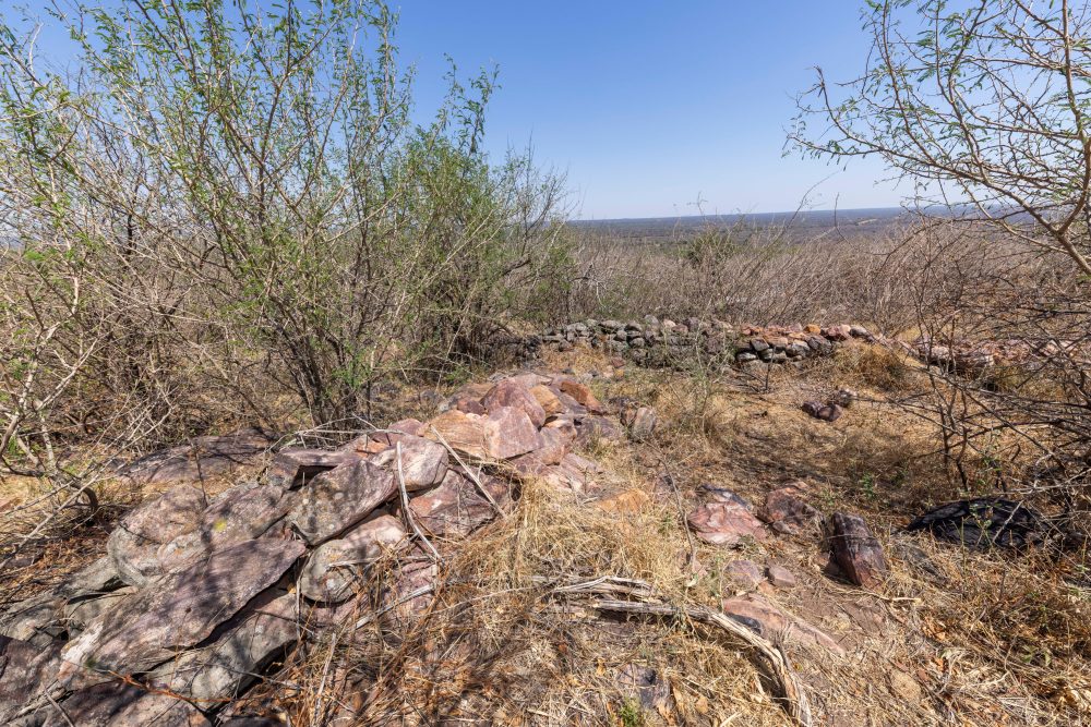 Sanparks Marakele 25.10.2025-39