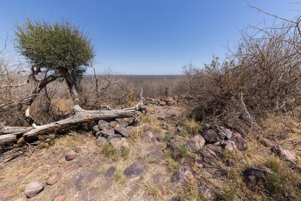 Sanparks Marakele 25.10.2025-42