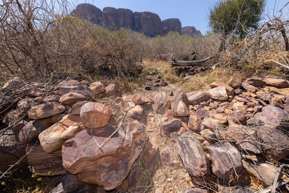 Sanparks Marakele 25.10.2025-44