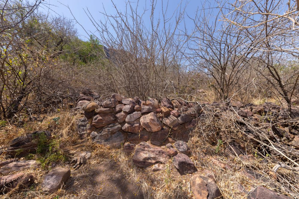 Sanparks Marakele 25.10.2025-50
