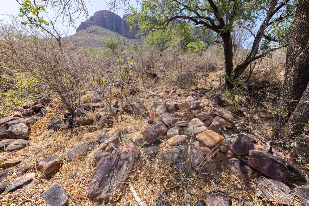 Sanparks Marakele 25.10.2025-52
