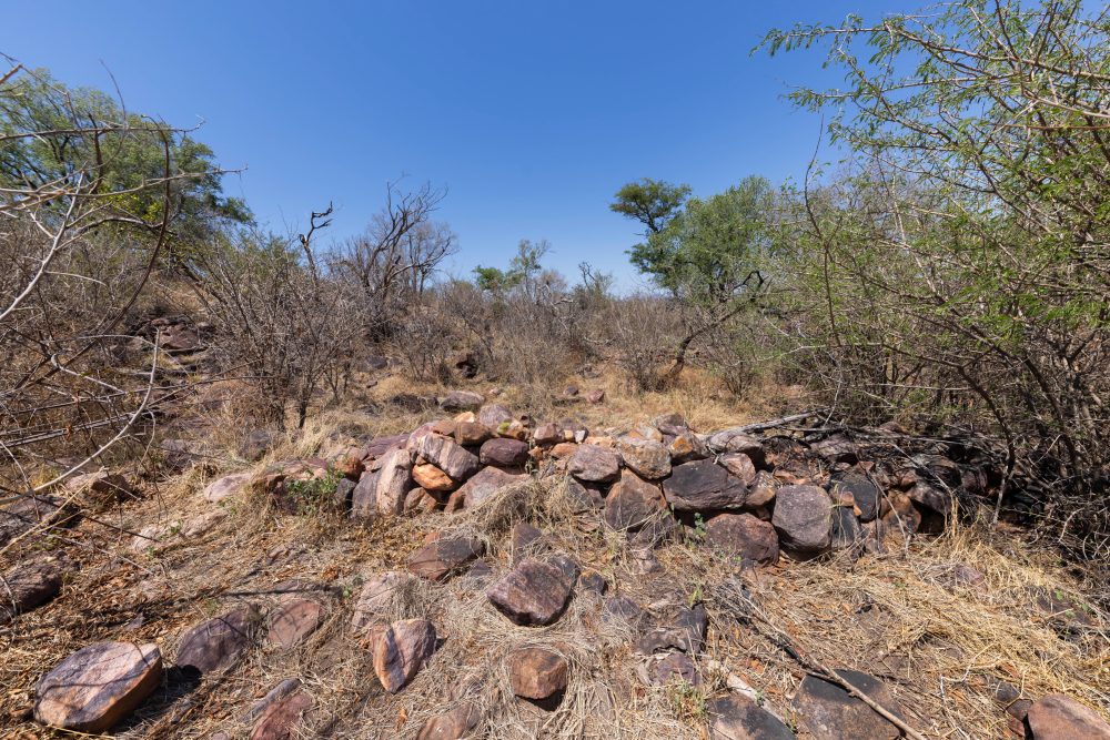 Sanparks Marakele 25.10.2025-53