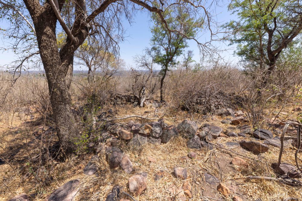 Sanparks Marakele 25.10.2025-59