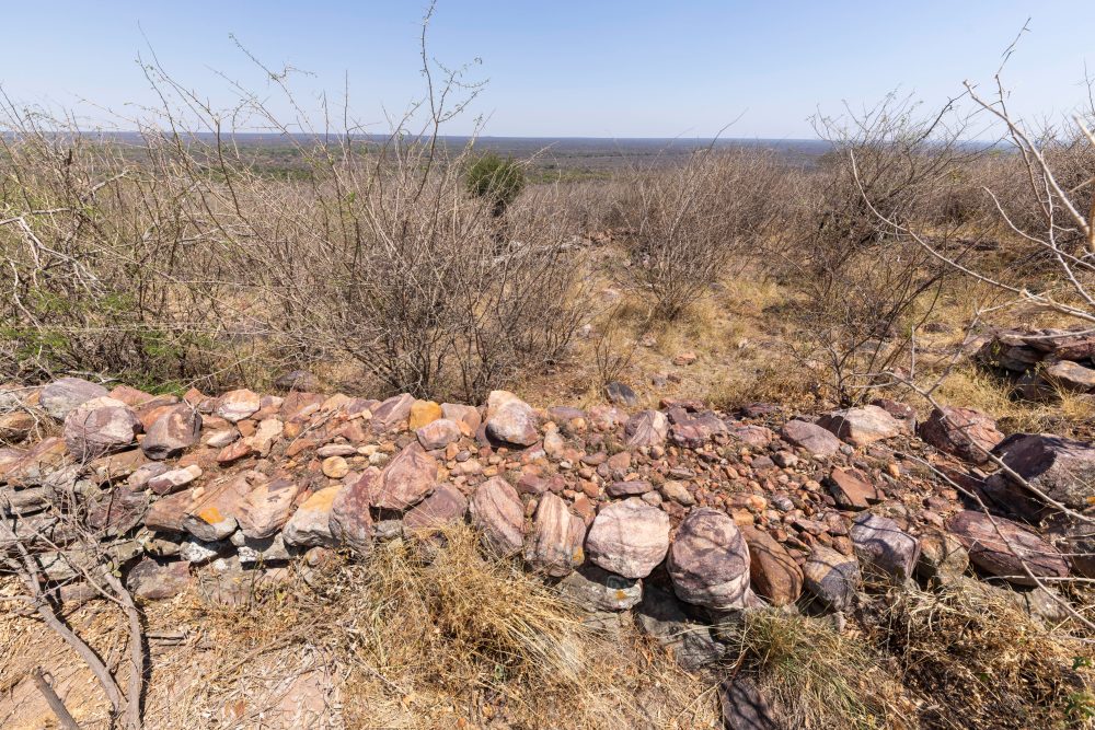 Sanparks Marakele 25.10.2025-68