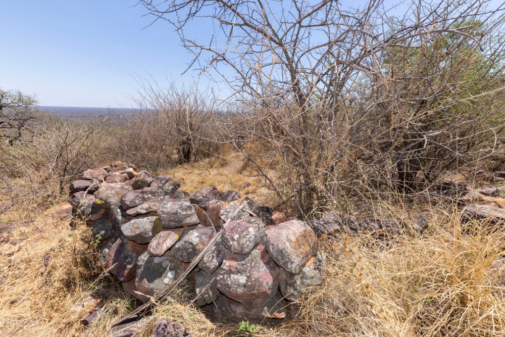 Sanparks Marakele 25.10.2025-77