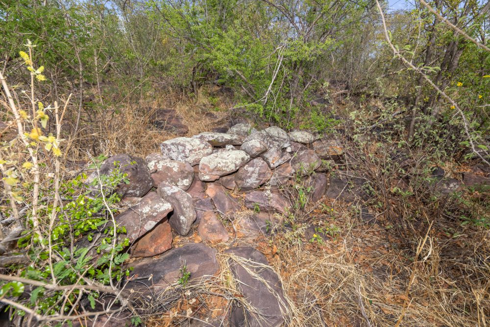 Sanparks Marakele 26.10.2025-10