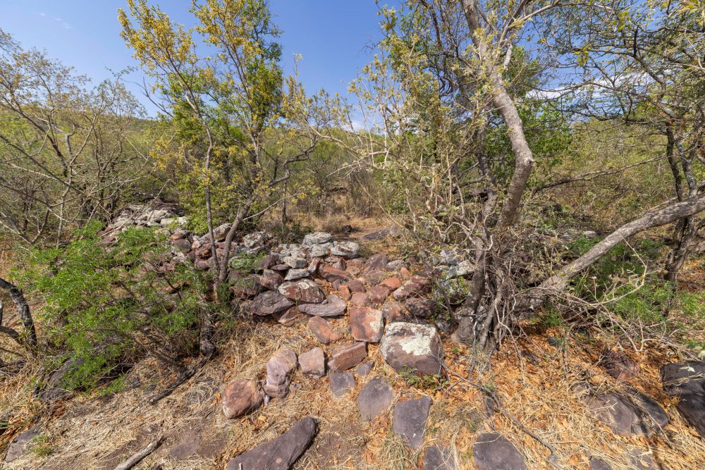 Sanparks Marakele 26.10.2025-13