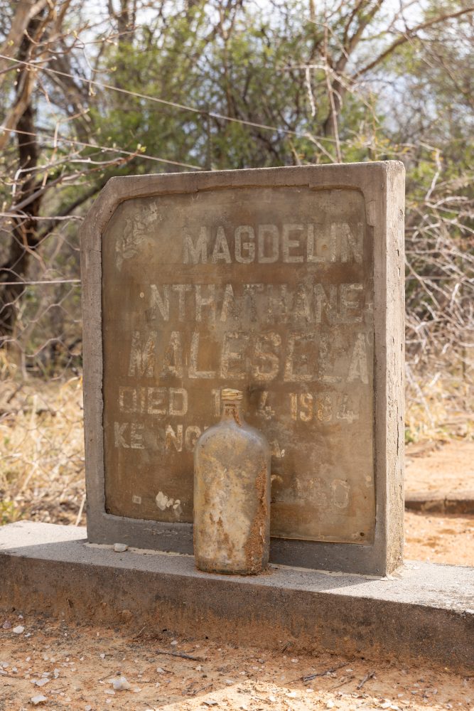 Sanparks Marakele 26.10.2025-151