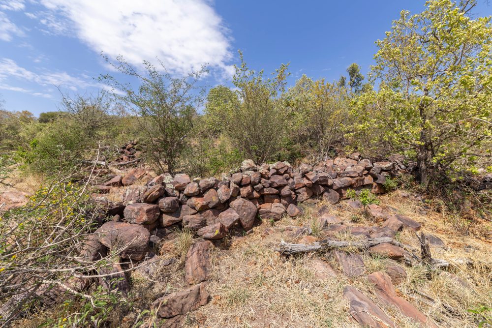 Sanparks Marakele 26.10.2025-69