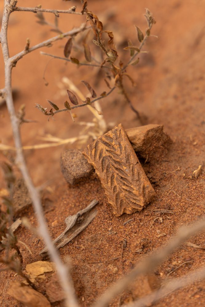 Sanparks Marakele 27.10.2025-76