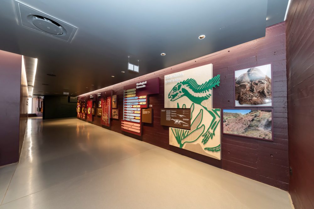 Kgodumodumo Dinosaur Centre 25.11.2025-101